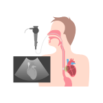 Stethoscope Icon